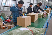 同城送货跑腿服务：选择最适合您需求的配送平台